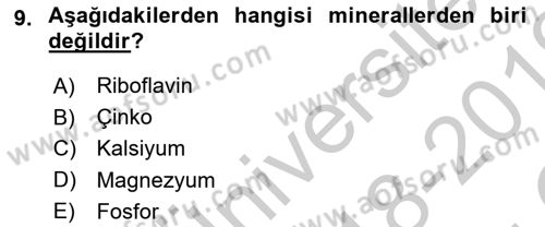 Sağlıklı Yaşam Dersi 2018 - 2019 Yılı Yaz Okulu Sınav Soruları 9. Soru