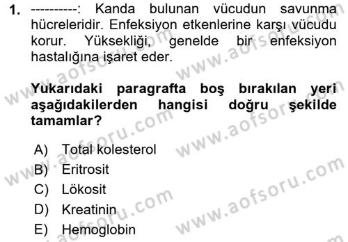 Sağlıklı Yaşam Dersi 2020 - 2021 Yılı Yaz Okulu Sınav Soruları 1. Soru