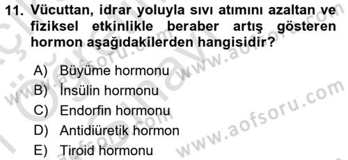 Sağlıklı Yaşam Dersi 2020 - 2021 Yılı Yaz Okulu Sınav Soruları 11. Soru