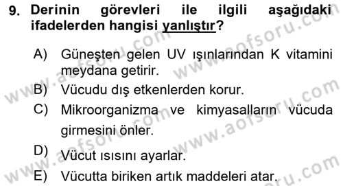 Sağlıklı Yaşam Dersi 2020 - 2021 Yılı Yaz Okulu Sınavı 9. Soru