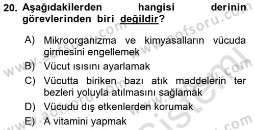 Sağlıklı Yaşam Dersi 2021 - 2022 Yılı (Vize) Ara Sınav Soruları 20. Soru