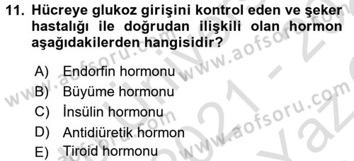 Sağlıklı Yaşam Dersi 2021 - 2022 Yılı Yaz Okulu Sınav Soruları 11. Soru