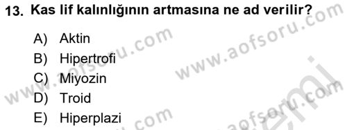 Sağlıklı Yaşam Dersi 2021 - 2022 Yılı Yaz Okulu Sınav Soruları 13. Soru