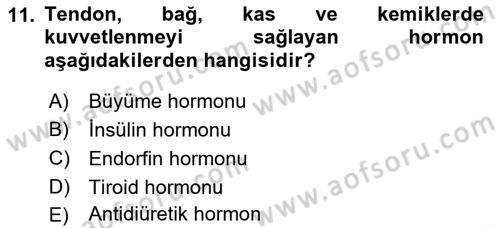 Sağlıklı Yaşam Dersi 2022 - 2023 Yılı Yaz Okulu Sınav Soruları 11. Soru