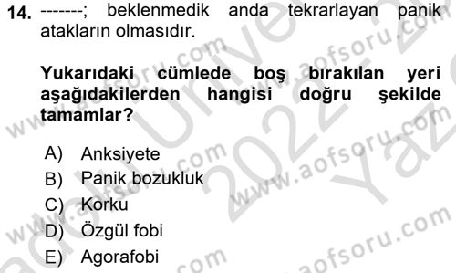 Sağlıklı Yaşam Dersi 2022 - 2023 Yılı Yaz Okulu Sınav Soruları 14. Soru