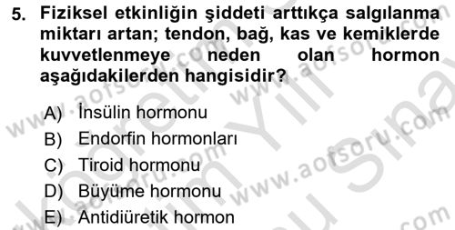 Sağlıklı Yaşam Dersi 2023 - 2024 Yılı (Final) Dönem Sonu Sınav Soruları 5. Soru