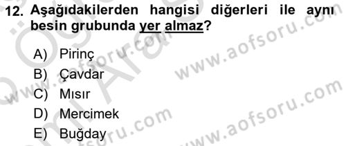 Sağlıklı Yaşam Dersi 2025 - 2026 Yılı (Vize) Ara Sınav Soruları 12. Soru