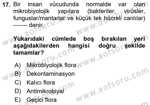 Sağlıklı Yaşam Dersi 2025 - 2026 Yılı (Vize) Ara Sınav Soruları 17. Soru