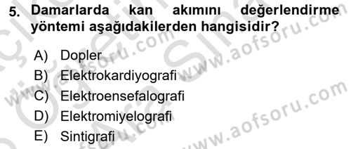 Sağlıklı Yaşam Dersi 2025 - 2026 Yılı (Vize) Ara Sınav Soruları 5. Soru