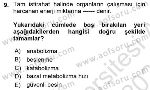 Sağlıklı Yaşam Dersi 2025 - 2026 Yılı (Vize) Ara Sınav Soruları 9. Soru