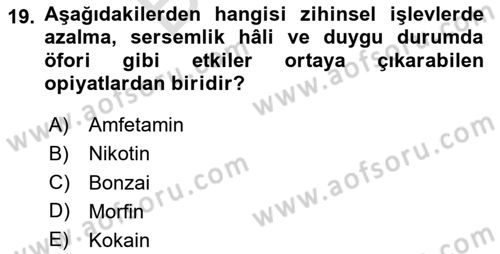 Sağlıklı Yaşam Dersi 2025 - 2026 Yılı (Final) Dönem Sonu Sınav Soruları 19. Soru
