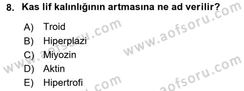 Sağlıklı Yaşam Dersi 2025 - 2026 Yılı (Final) Dönem Sonu Sınav Soruları 8. Soru