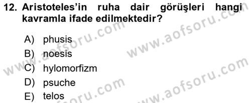 İlkçağ Felsefesi Dersi 2025 - 2026 Yılı (Final) Dönem Sonu Sınav Soruları 12. Soru