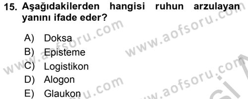 Etik Dersi Ara Sınavı Deneme Sınav Soruları 15. Soru