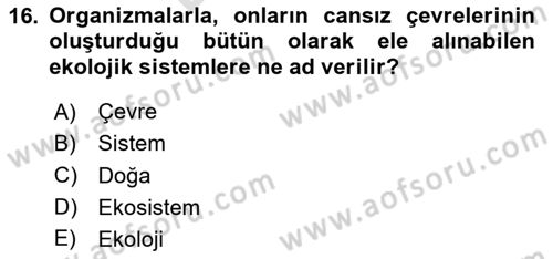Etik Dersi 2025 - 2026 Yılı (Final) Dönem Sonu Sınav Soruları 16. Soru