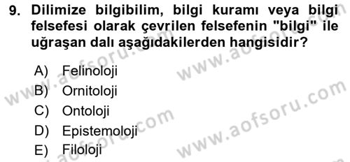 Epistemoloji Dersi 2016 - 2017 Yılı (Vize) Ara Sınav Soruları 9. Soru