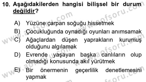 Epistemoloji Dersi 2022 - 2023 Yılı (Vize) Ara Sınav Soruları 10. Soru