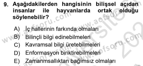 Epistemoloji Dersi 2023 - 2024 Yılı (Vize) Ara Sınav Soruları 9. Soru