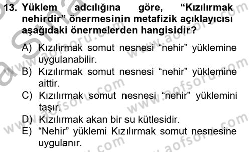 Metafizik Dersi 2012 - 2013 Yılı (Vize) Ara Sınav Soruları 13. Soru