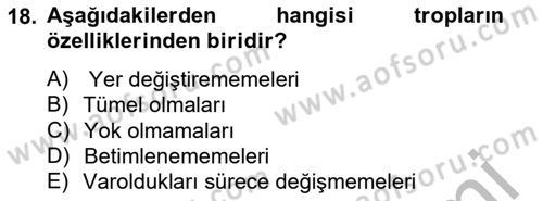 Metafizik Dersi 2012 - 2013 Yılı (Vize) Ara Sınav Soruları 18. Soru