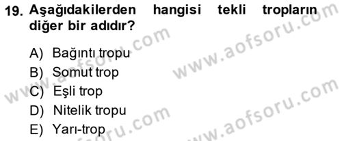 Metafizik Dersi 2013 - 2014 Yılı (Vize) Ara Sınav Soruları 19. Soru