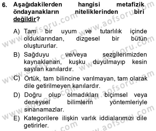 Metafizik Dersi 2013 - 2014 Yılı (Vize) Ara Sınav Soruları 6. Soru