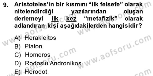 Metafizik Dersi 2013 - 2014 Yılı (Vize) Ara Sınav Soruları 9. Soru