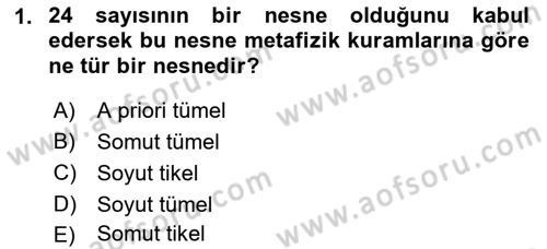 Metafizik Dersi 2017 - 2018 Yılı (Vize) Ara Sınav Soruları 1. Soru