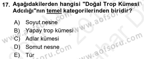 Metafizik Dersi 2017 - 2018 Yılı (Vize) Ara Sınav Soruları 17. Soru