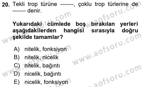 Metafizik Dersi 2017 - 2018 Yılı (Vize) Ara Sınav Soruları 20. Soru