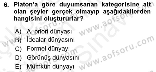 Metafizik Dersi 2017 - 2018 Yılı (Vize) Ara Sınav Soruları 6. Soru