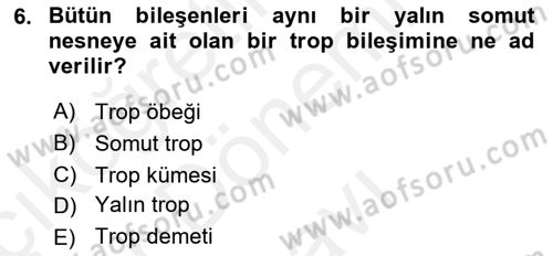 Metafizik Dersi 2017 - 2018 Yılı (Final) Dönem Sonu Sınav Soruları 6. Soru