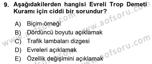 Metafizik Dersi 2017 - 2018 Yılı (Final) Dönem Sonu Sınav Soruları 9. Soru