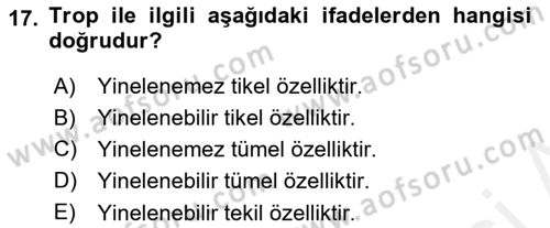 Metafizik Dersi 2018 - 2019 Yılı (Vize) Ara Sınav Soruları 17. Soru