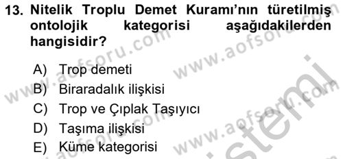 Metafizik Dersi 2018 - 2019 Yılı Yaz Okulu Sınav Soruları 13. Soru