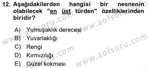Metafizik Dersi 2020 - 2021 Yılı Yaz Okulu Sınav Soruları 12. Soru