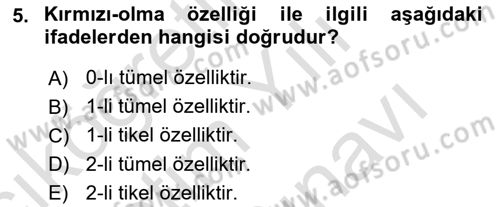 Metafizik Dersi 2021 - 2022 Yılı (Vize) Ara Sınav Soruları 5. Soru