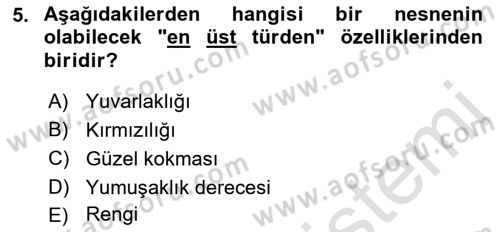 Metafizik Dersi 2021 - 2022 Yılı (Final) Dönem Sonu Sınav Soruları 5. Soru