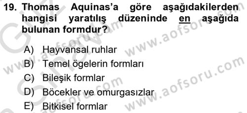 Ortaçağ Felsefesi 1 Dersi 2017 - 2018 Yılı (Vize) Ara Sınav Soruları 19. Soru