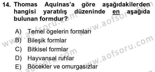 Ortaçağ Felsefesi 1 Dersi 2018 - 2019 Yılı (Vize) Ara Sınav Soruları 14. Soru