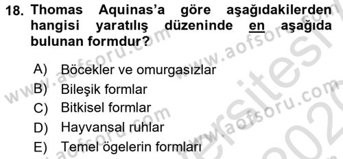 Ortaçağ Felsefesi 1 Dersi 2019 - 2020 Yılı (Vize) Ara Sınav Soruları 18. Soru