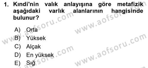Ortaçağ Felsefesi 2 Dersi 2021 - 2022 Yılı Yaz Okulu Sınavı 1. Soru