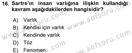 Felsefe Dersi Ara Sınavı Deneme Sınav Soruları 16. Soru