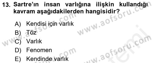 Felsefe Dersi Ara Sınavı Deneme Sınav Soruları 13. Soru