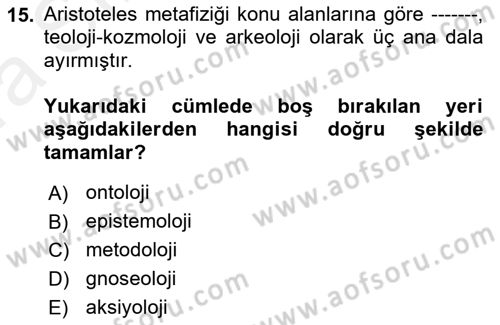 Felsefe Dersi Ara Sınavı Deneme Sınav Soruları 15. Soru