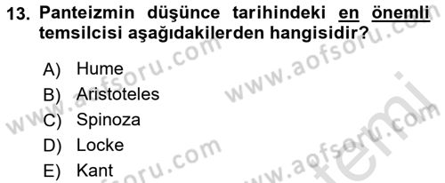 Felsefe Dersi Ara Sınavı Deneme Sınav Soruları 13. Soru