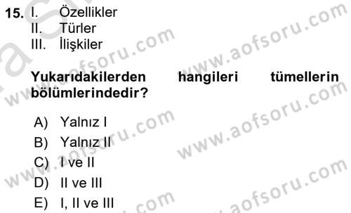 Felsefe Dersi 2021 - 2022 Yılı (Vize) Ara Sınav Soruları 15. Soru