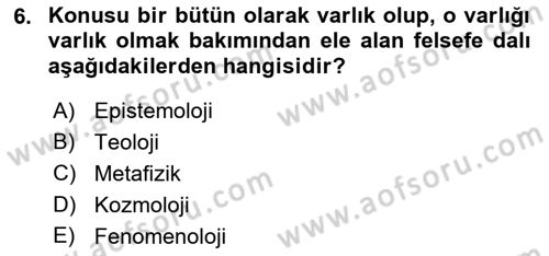 Felsefe Dersi 2021 - 2022 Yılı Yaz Okulu Sınav Soruları 6. Soru