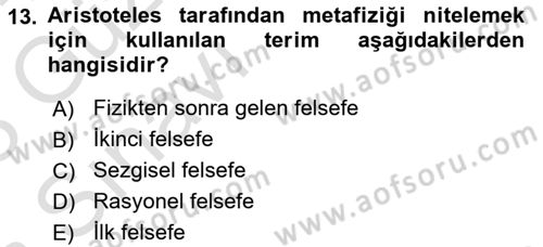 Felsefe Dersi Ara Sınavı Deneme Sınav Soruları 13. Soru