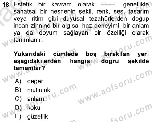 Felsefe Dersi 2022 - 2023 Yılı Yaz Okulu Sınav Soruları 18. Soru